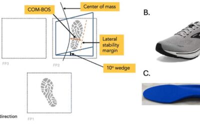 The Effect of Foot Orthotics on Dynamic Stability in Females with Pes Planus Foot Posture