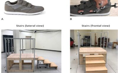 Effect of Foot Orthoses on Persons with Posterior Tibialis Tendon Dysfunction Stair Climbing