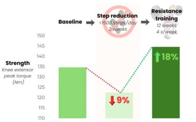 Resistance Training Restores Strength Loss After Inactivity
