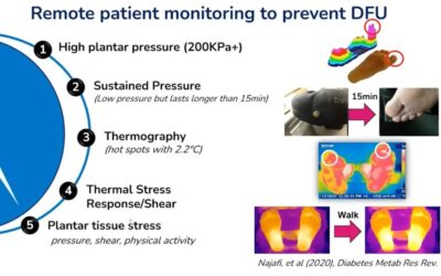 lerEXPO Highlights: Digital Solutions for Early Detection, Prevention and Personalized Treatment of the Diabetic Foot