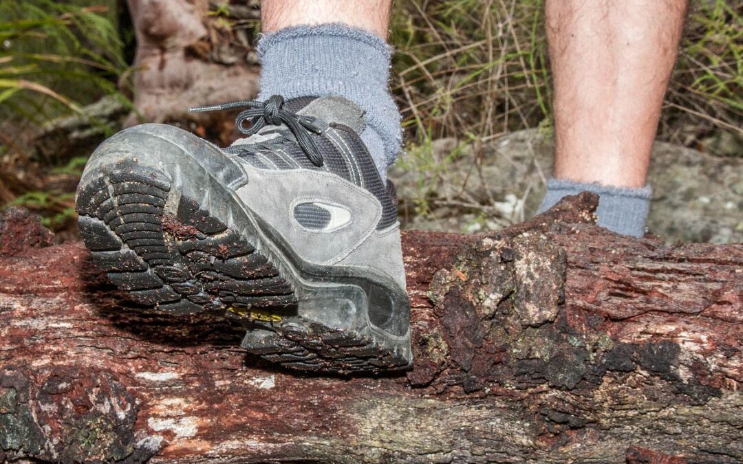 Snake Bites to the Lower Extremity Reported to U.S. Emergency Departments