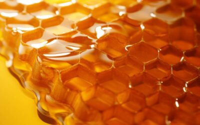 Honey Dressing for Diabetic Foot Ulcers: A Systematic Review